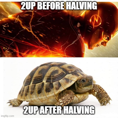 2UP BEFORE HALVING; 2UP AFTER HALVING | made w/ Imgflip meme maker