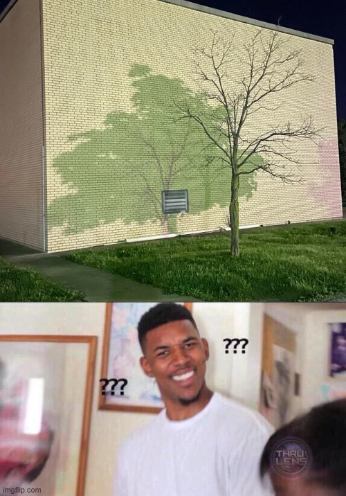 The tree of magic | image tagged in black guy confused,memes,funny,tree,magic | made w/ Imgflip meme maker