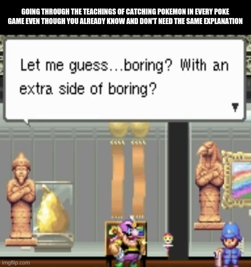 Extra Side Of Boring | GOING THROUGH THE TEACHINGS OF CATCHING POKEMON IN EVERY POKE GAME EVEN THOUGH YOU ALREADY KNOW AND DON'T NEED THE SAME EXPLANATION | image tagged in extra side of boring | made w/ Imgflip meme maker