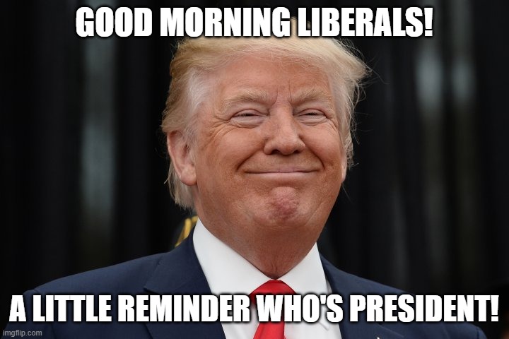 Who's your daddy! | GOOD MORNING LIBERALS! A LITTLE REMINDER WHO'S PRESIDENT! | image tagged in trump 2020,like a boss,president trump | made w/ Imgflip meme maker