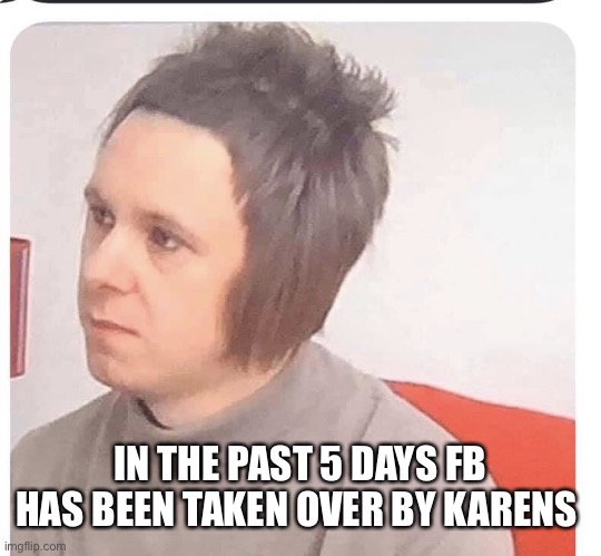 His name is Karen | IN THE PAST 5 DAYS FB HAS BEEN TAKEN OVER BY KARENS | image tagged in his name is karen | made w/ Imgflip meme maker