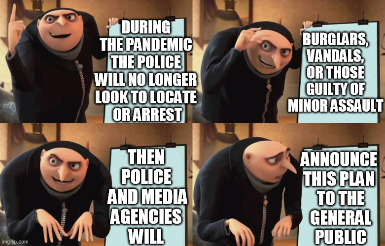 Gru | BURGLARS, VANDALS, OR THOSE GUILTY OF MINOR ASSAULT; DURING THE PANDEMIC THE POLICE WILL NO LONGER LOOK TO LOCATE
 OR ARREST; THEN
POLICE
 AND MEDIA
AGENCIES
WILL; ANNOUNCE 
THIS PLAN 
TO THE
GENERAL
PUBLIC | image tagged in gru | made w/ Imgflip meme maker