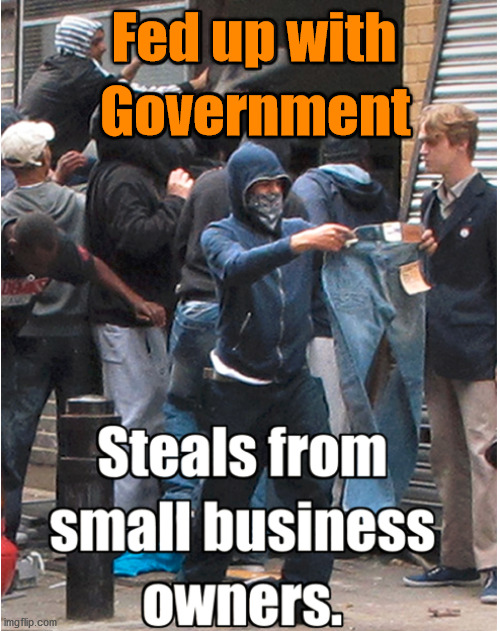 You are not hurting big business just the little guy that had a job at the place you looted and burned. | Fed up with; Government | image tagged in riots,looters | made w/ Imgflip meme maker