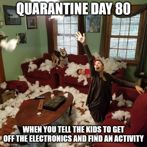 is this a good activity? | QUARANTINE DAY 80; WHEN YOU TELL THE KIDS TO GET OFF THE ELECTRONICS AND FIND AN ACTIVITY | image tagged in quarantine kids | made w/ Imgflip meme maker