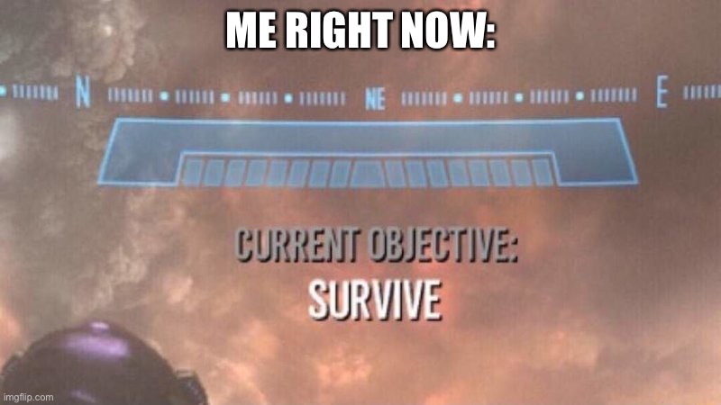 Current Objective: Survive | ME RIGHT NOW: | image tagged in current objective survive | made w/ Imgflip meme maker