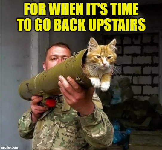 FOR WHEN IT'S TIME TO GO BACK UPSTAIRS | made w/ Imgflip meme maker