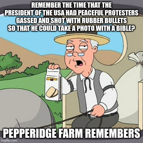 Pepperidge Farm Remembers | REMEMBER THE TIME THAT THE PRESIDENT OF THE USA HAD PEACEFUL PROTESTERS GASSED AND SHOT WITH RUBBER BULLETS SO THAT HE COULD TAKE A PHOTO WITH A BIBLE? PEPPERIDGE FARM REMEMBERS | image tagged in memes,pepperidge farm remembers,racist,hypocrite,trump | made w/ Imgflip meme maker