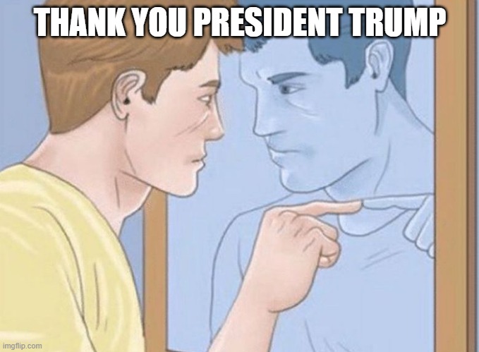 thank you | THANK YOU PRESIDENT TRUMP | image tagged in donald trump | made w/ Imgflip meme maker