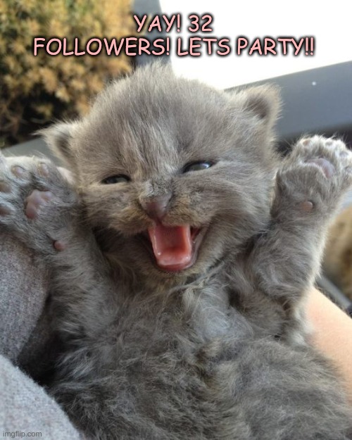 my stream has 32 followers! lets celabrate it!!! | YAY! 32 FOLLOWERS! LETS PARTY!! | image tagged in yay kitty | made w/ Imgflip meme maker