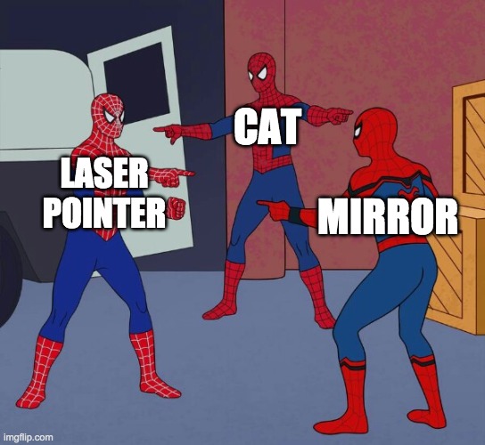 who else is tired of this vicious cycle | CAT; LASER POINTER; MIRROR | image tagged in spider man triple | made w/ Imgflip meme maker