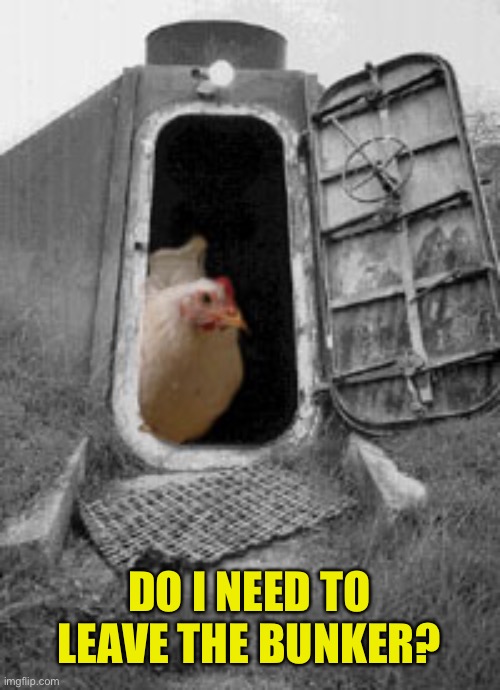DO I NEED TO LEAVE THE BUNKER? | made w/ Imgflip meme maker