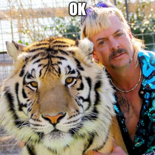 Happy Birthday Tiger King | OK | image tagged in happy birthday tiger king | made w/ Imgflip meme maker