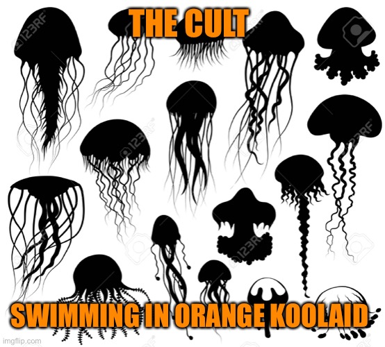 THE CULT SWIMMING IN ORANGE KOOLAID | made w/ Imgflip meme maker