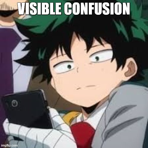 Deku dissapointed | VISIBLE CONFUSION | image tagged in deku dissapointed | made w/ Imgflip meme maker