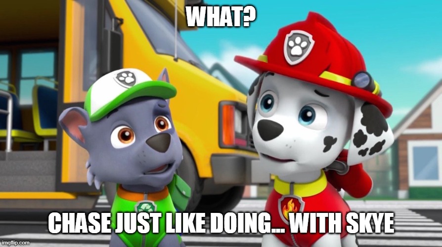 Doing it... | WHAT? CHASE JUST LIKE DOING... WITH SKYE | image tagged in paw patrol marshall and rocky | made w/ Imgflip meme maker