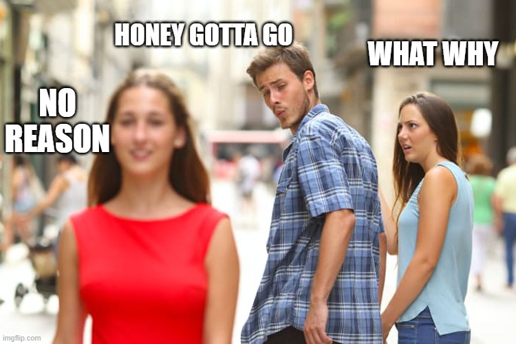 Distracted Boyfriend Meme | HONEY GOTTA GO; WHAT WHY; NO REASON | image tagged in memes,distracted boyfriend | made w/ Imgflip meme maker