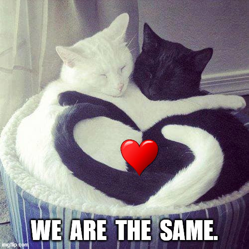 we are the same | WE  ARE  THE  SAME. | image tagged in black and white | made w/ Imgflip meme maker