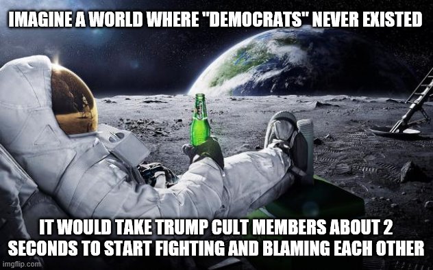 Chillin' Astronaut | IMAGINE A WORLD WHERE "DEMOCRATS" NEVER EXISTED; IT WOULD TAKE TRUMP CULT MEMBERS ABOUT 2 SECONDS TO START FIGHTING AND BLAMING EACH OTHER | image tagged in chillin' astronaut | made w/ Imgflip meme maker