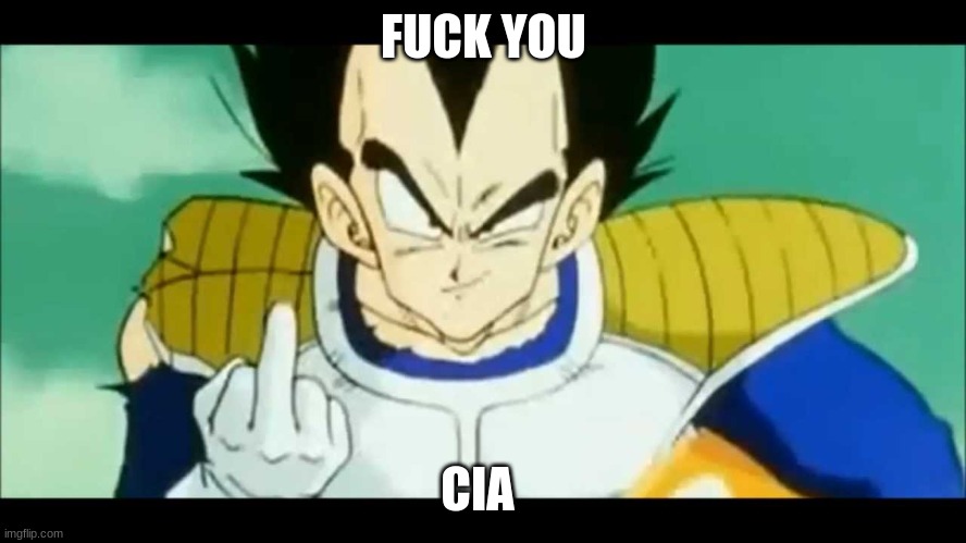 FFFFFFFFFUCK the CIA | FUCK YOU; CIA | image tagged in fuck you | made w/ Imgflip meme maker
