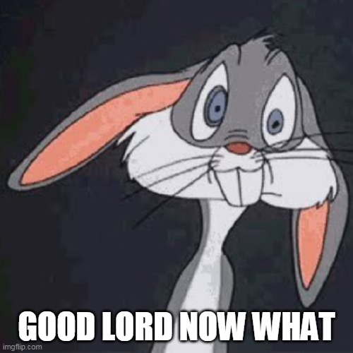 Good Lord Now What | GOOD LORD NOW WHAT | image tagged in no good can come of this | made w/ Imgflip meme maker