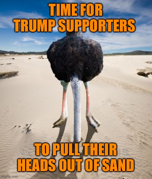 TIME FOR TRUMP SUPPORTERS TO PULL THEIR HEADS OUT OF SAND | made w/ Imgflip meme maker