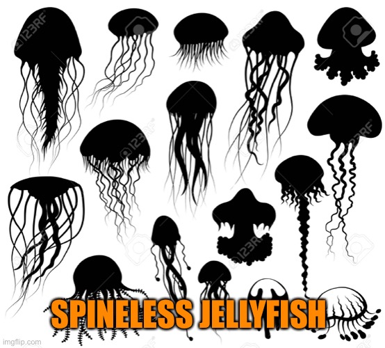 SPINELESS JELLYFISH | made w/ Imgflip meme maker
