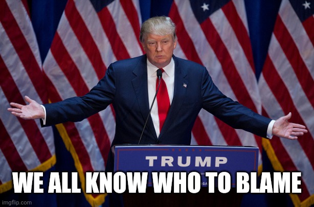 Donald Trump | WE ALL KNOW WHO TO BLAME | image tagged in donald trump | made w/ Imgflip meme maker