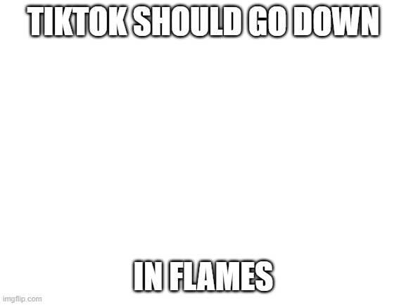 Blank White Template | TIKTOK SHOULD GO DOWN; IN FLAMES | image tagged in blank white template | made w/ Imgflip meme maker