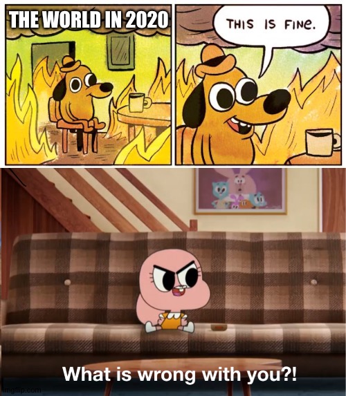 THE WORLD IN 2020 | image tagged in memes,this is fine,what is wrong with you | made w/ Imgflip meme maker