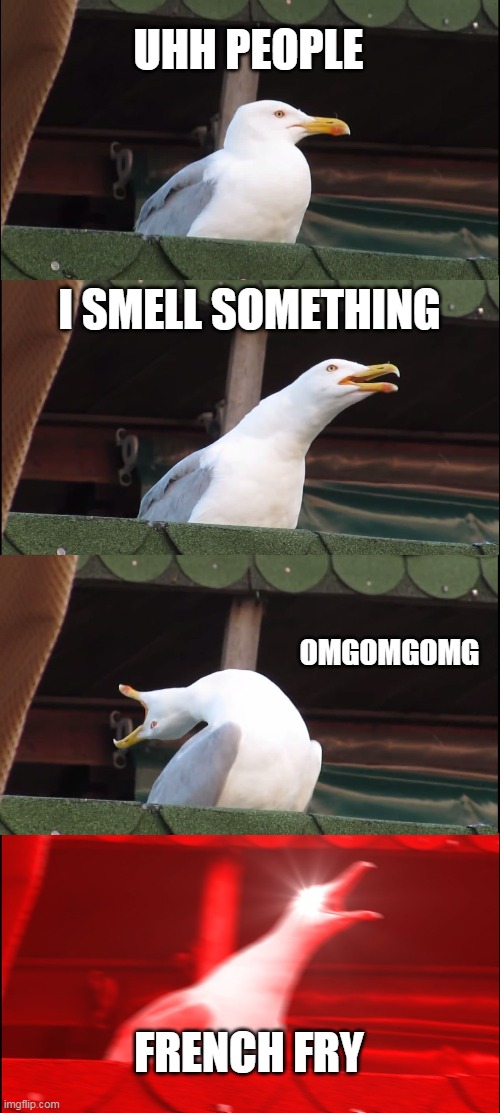 Inhaling Seagull | UHH PEOPLE; I SMELL SOMETHING; OMGOMGOMG; FRENCH FRY | image tagged in memes,inhaling seagull | made w/ Imgflip meme maker