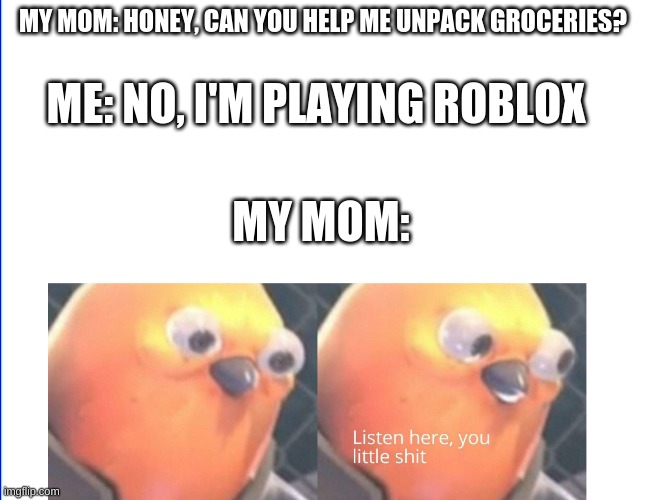 every day for me | MY MOM: HONEY, CAN YOU HELP ME UNPACK GROCERIES? ME: NO, I'M PLAYING ROBLOX; MY MOM: | image tagged in listen here you little shit | made w/ Imgflip meme maker