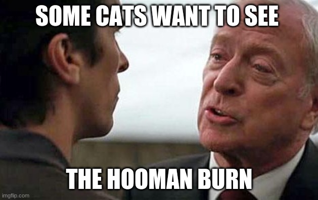 Some men want to see the world burn | SOME CATS WANT TO SEE THE HOOMAN BURN | image tagged in some men want to see the world burn | made w/ Imgflip meme maker