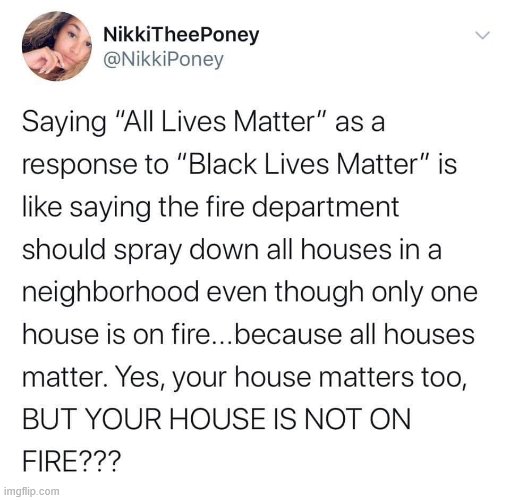 Good explanation. When you hear "Black Lives Matter," think "Black Lives Matter *Too*" | image tagged in black lives matter,houses,all lives matter,racism,police brutality,repost | made w/ Imgflip meme maker