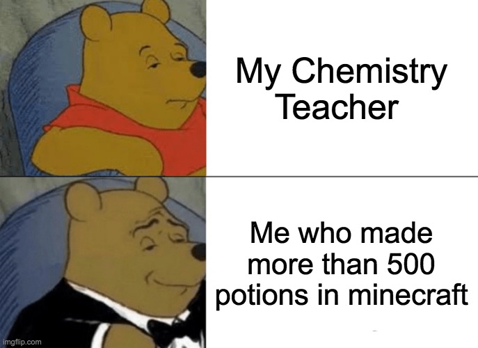 yes | My Chemistry Teacher; Me who made more than 500 potions in minecraft | image tagged in memes,tuxedo winnie the pooh | made w/ Imgflip meme maker