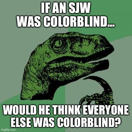 Trying to achieve the SJW logic | IF AN SJW WAS COLORBLIND... WOULD HE THINK EVERYONE ELSE WAS COLORBLIND? | image tagged in memes,philosoraptor,funny,sjw | made w/ Imgflip meme maker