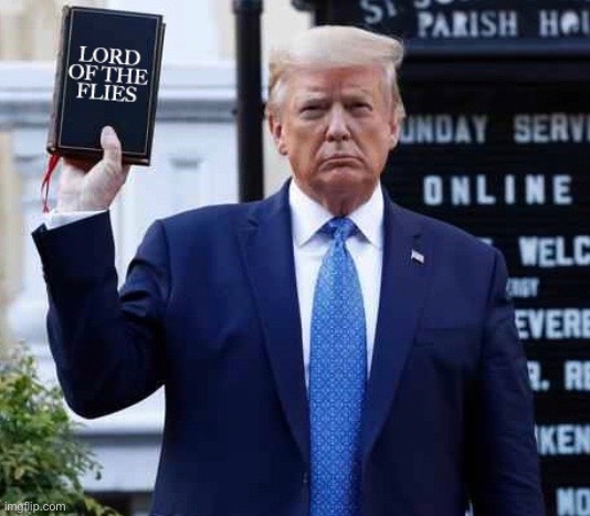 Strong man | image tagged in trump,stunt,protest,police brutality,st johns church | made w/ Imgflip meme maker