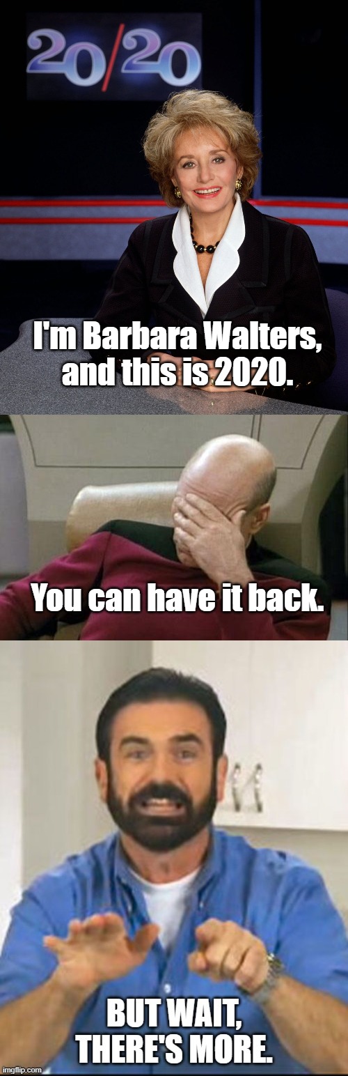 You can have it back. | I'm Barbara Walters, and this is 2020. You can have it back. | image tagged in captain picard facepalm,barbara walters 2020 | made w/ Imgflip meme maker