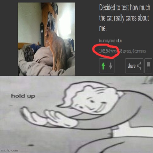 HOLD UP | image tagged in fallout hold up,wait a minute | made w/ Imgflip meme maker