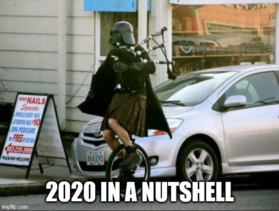 Invalid Argument Vader Meme | 2020 IN A NUTSHELL | image tagged in memes,invalid argument vader | made w/ Imgflip meme maker