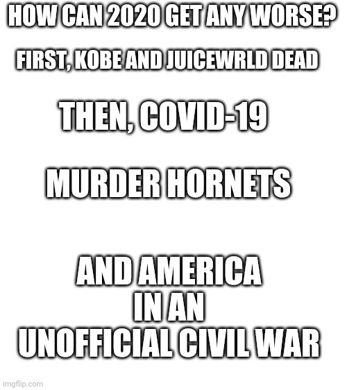 Why | HOW CAN 2020 GET ANY WORSE? FIRST, KOBE AND JUICEWRLD DEAD; THEN, COVID-19; MURDER HORNETS; AND AMERICA IN AN UNOFFICIAL CIVIL WAR | image tagged in blank white template | made w/ Imgflip meme maker