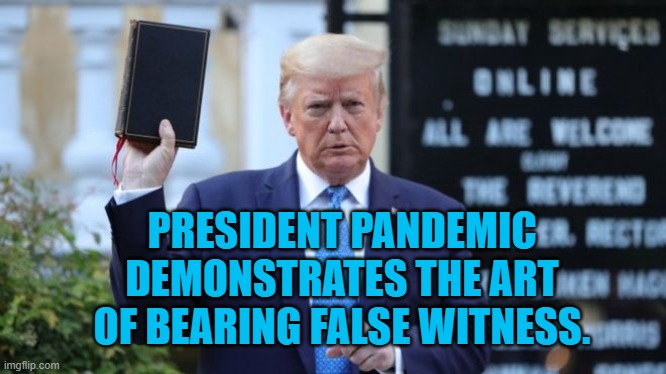 False Witness | PRESIDENT PANDEMIC DEMONSTRATES THE ART OF BEARING FALSE WITNESS. | image tagged in politics | made w/ Imgflip meme maker
