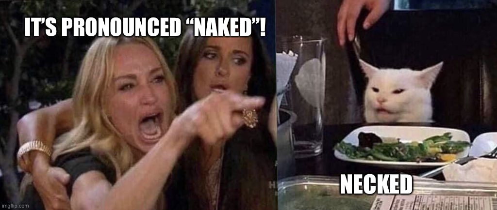 Southern Twang | IT’S PRONOUNCED “NAKED”! NECKED | image tagged in woman yelling at cat,southern pride | made w/ Imgflip meme maker