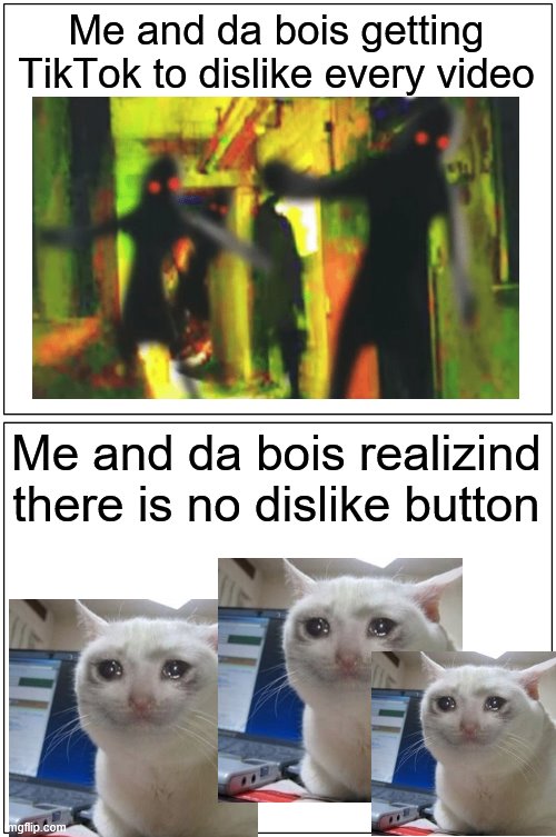 plan b: bad reviews | Me and da bois getting TikTok to dislike every video; Me and da bois realizind there is no dislike button | image tagged in memes,blank comic panel 1x2 | made w/ Imgflip meme maker
