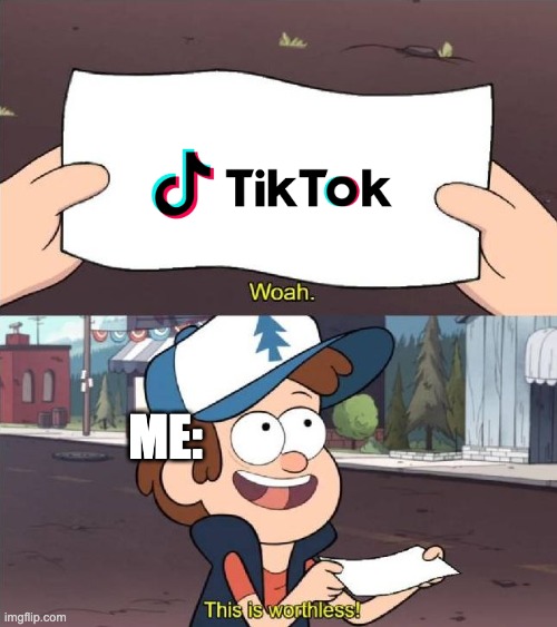 plzdietiktok | ME: | image tagged in dipper worthless | made w/ Imgflip meme maker