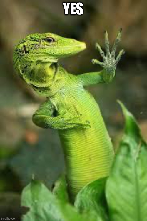 lizard | YES | image tagged in lizard | made w/ Imgflip meme maker