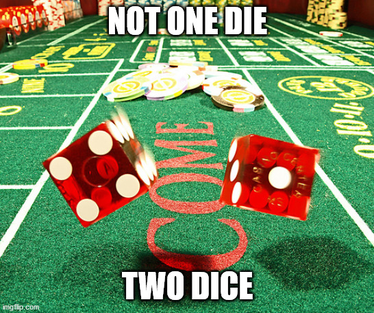 gamble dice craps | NOT ONE DIE TWO DICE | image tagged in gamble dice craps | made w/ Imgflip meme maker