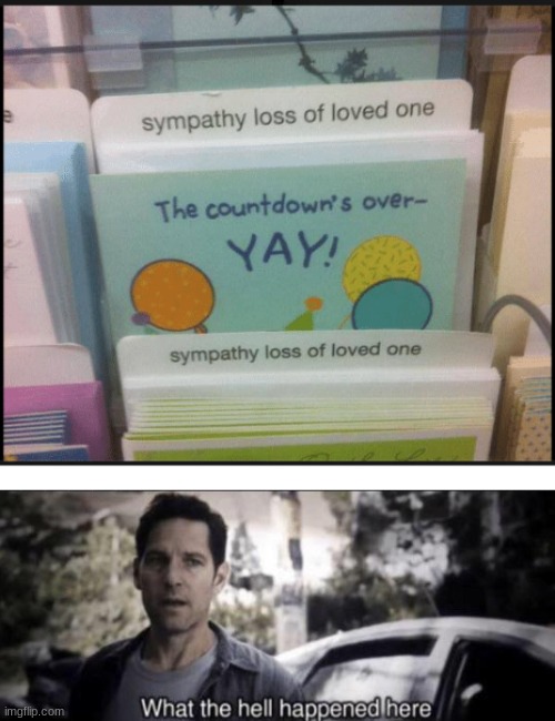 sympathy loss of a loved one | image tagged in what the hell happened here | made w/ Imgflip meme maker