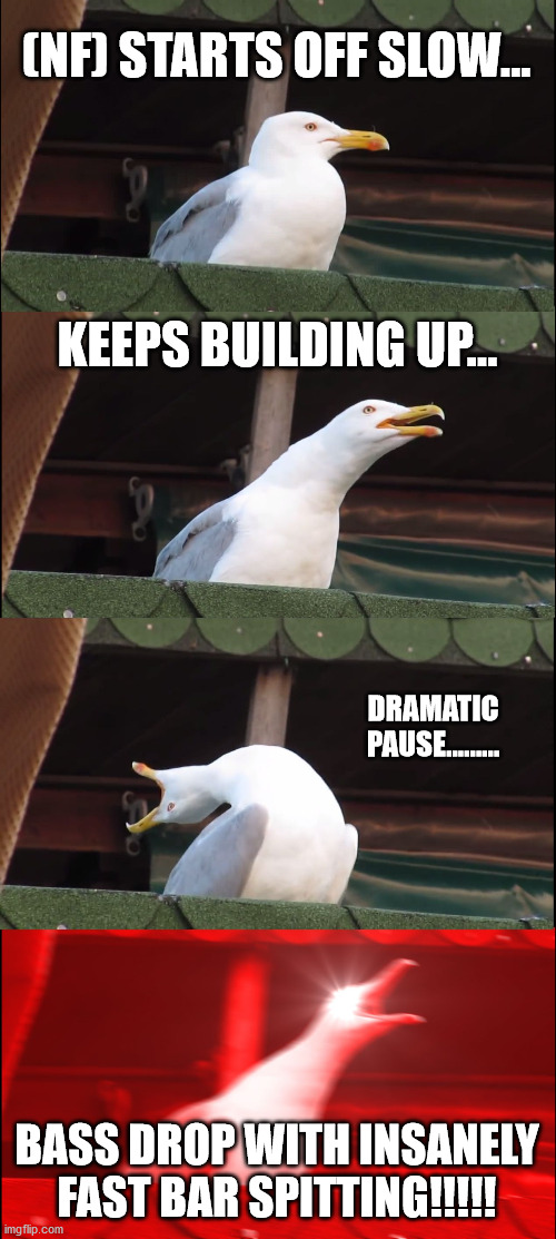 NF is a BEAST | (NF) STARTS OFF SLOW... KEEPS BUILDING UP... DRAMATIC PAUSE......... BASS DROP WITH INSANELY FAST BAR SPITTING!!!!! | image tagged in memes,inhaling seagull,rapper | made w/ Imgflip meme maker