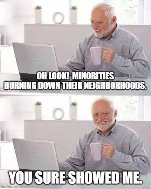 Try that in our neighborhoods...and we'll show you. | OH LOOK!  MINORITIES BURNING DOWN THEIR NEIGHBORHOODS. YOU SURE SHOWED ME. | image tagged in memes,hide the pain harold,riots,politics,political meme | made w/ Imgflip meme maker