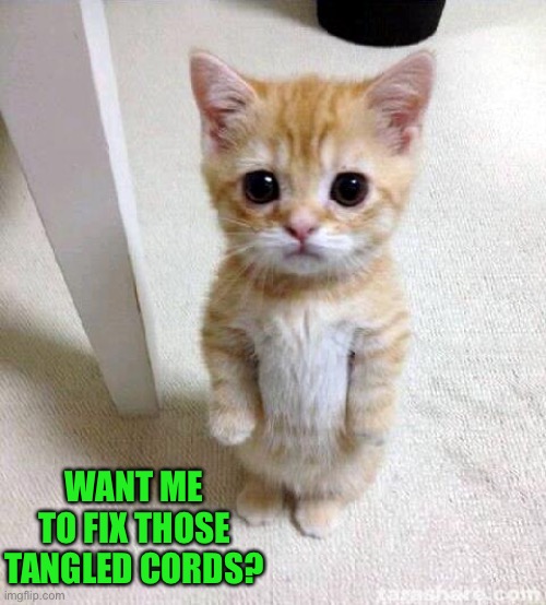 Cute Cat Meme | WANT ME TO FIX THOSE TANGLED CORDS? | image tagged in memes,cute cat | made w/ Imgflip meme maker